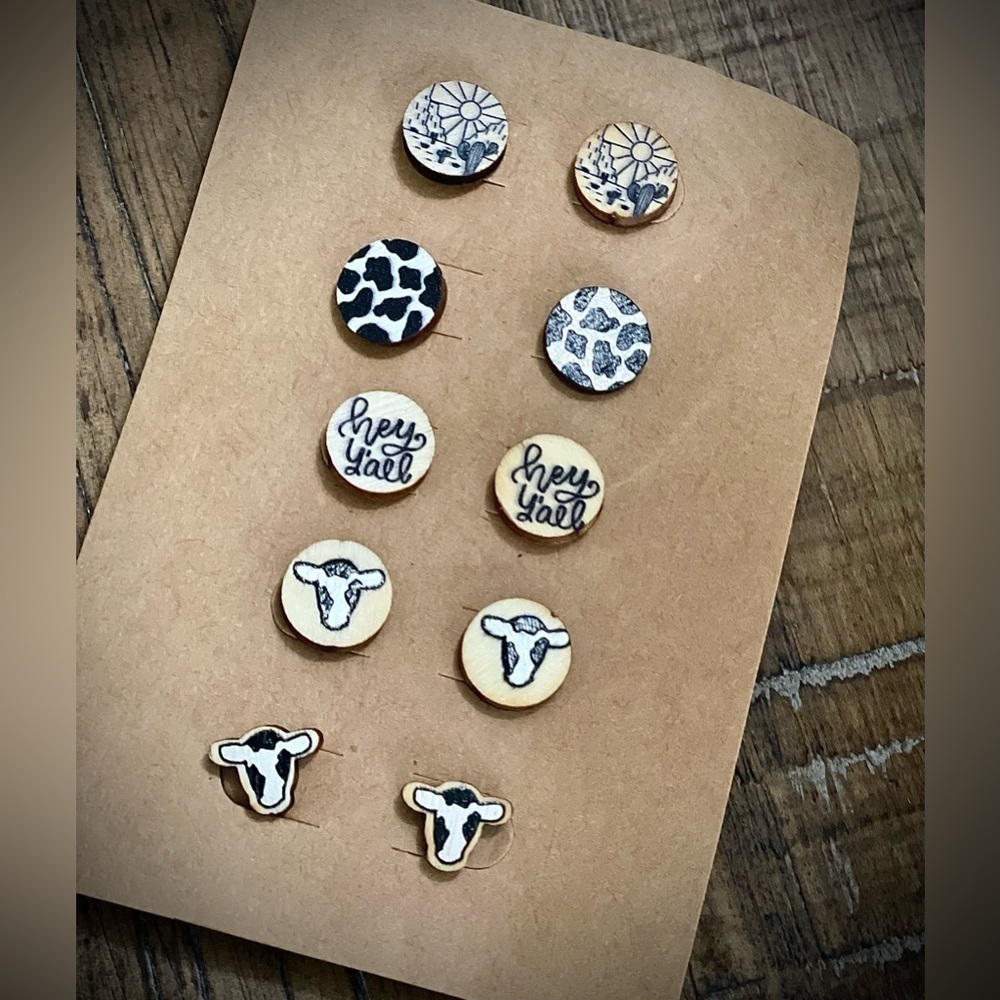 NWT Western Desert Earrings